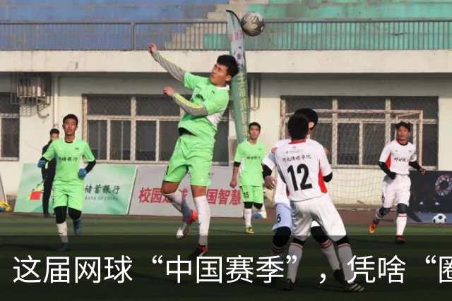 这届网球“中国赛季”，凭啥“圈粉”又“吸金”